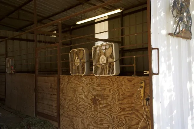 a view of dirt field with trees