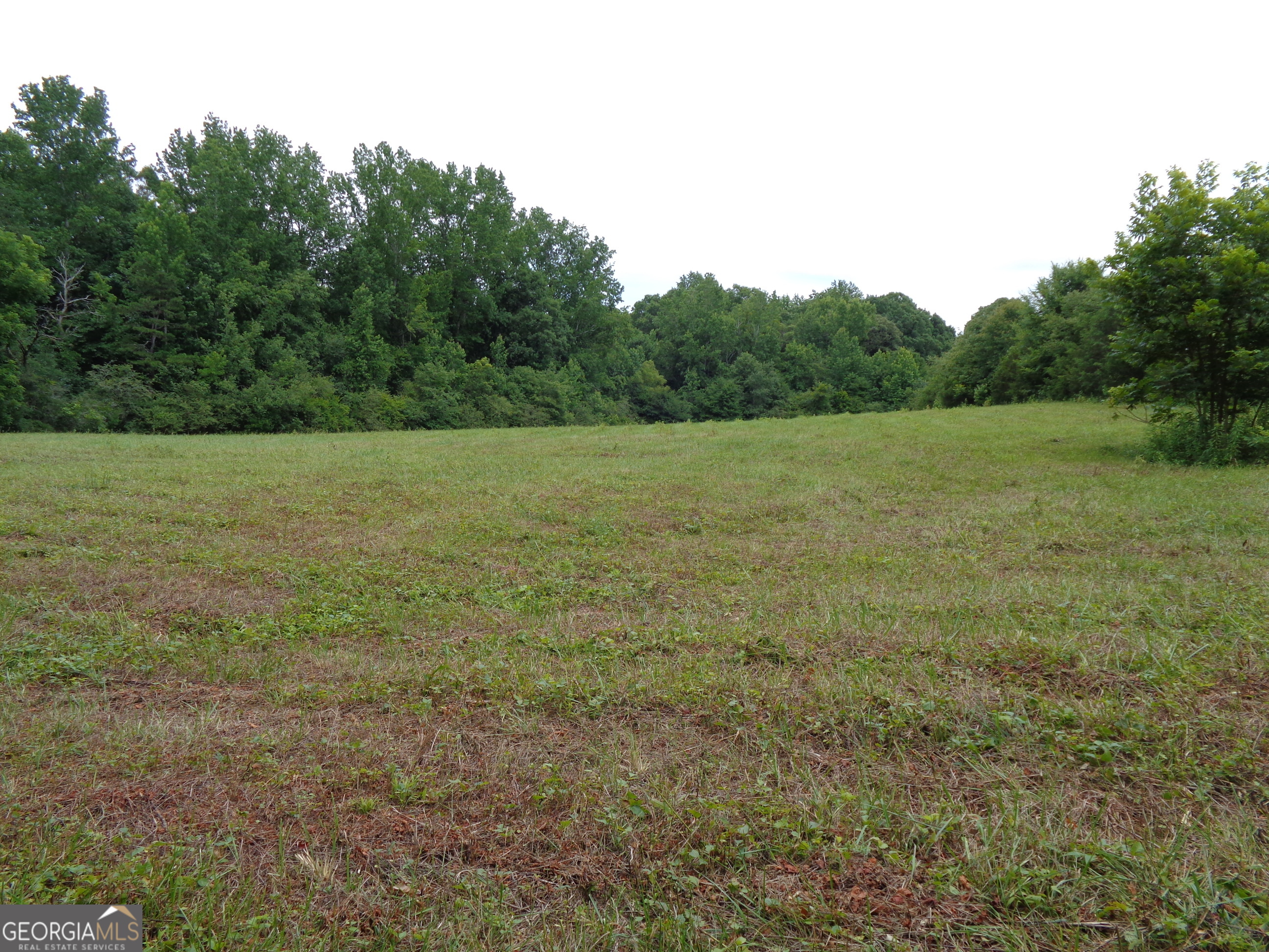 2411 Kesler Road Carnesville, GA 30521 - Photo 59 of 61 a view of outdoor space and yard