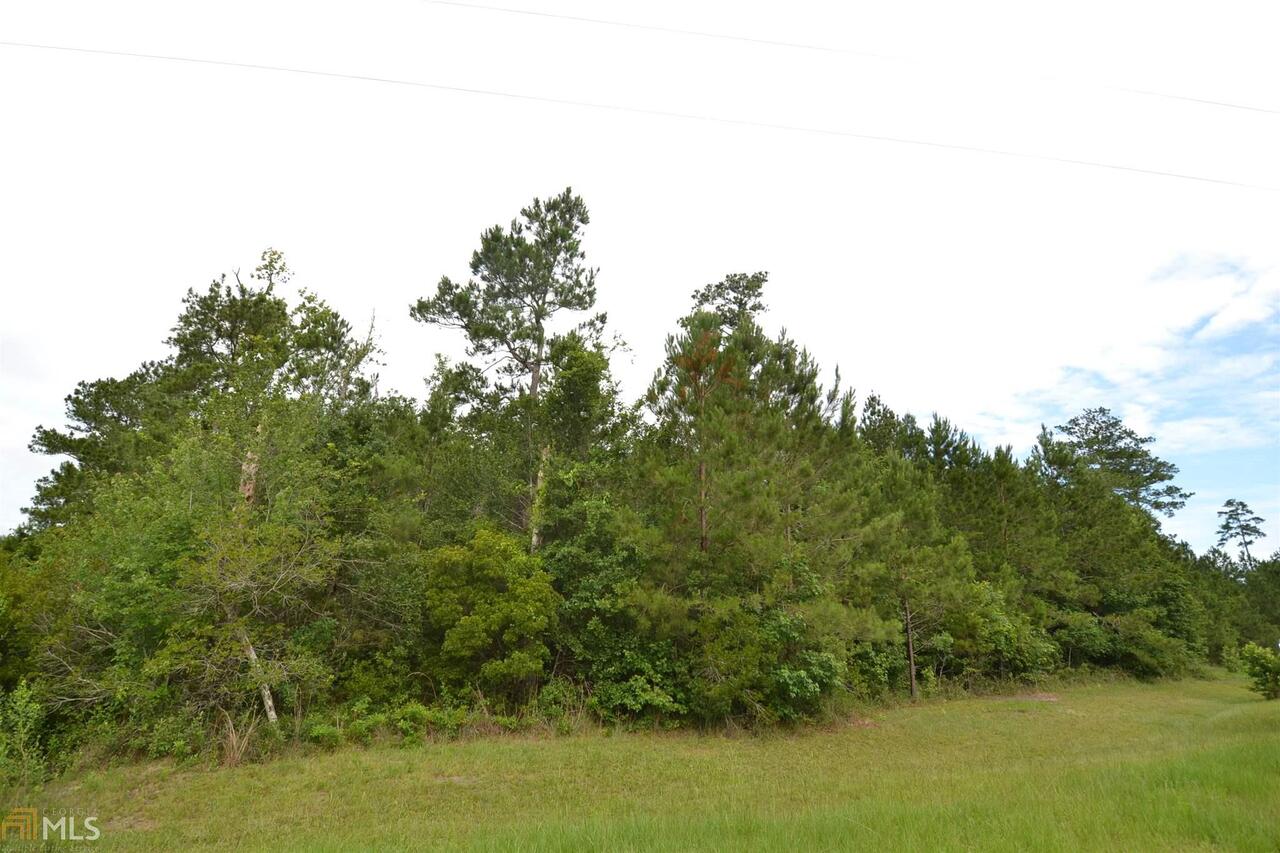 0 Thoroughbred Road, Unit 53 Woodbine, GA 31569 - Photo 1 of 1 Gallery Image 1