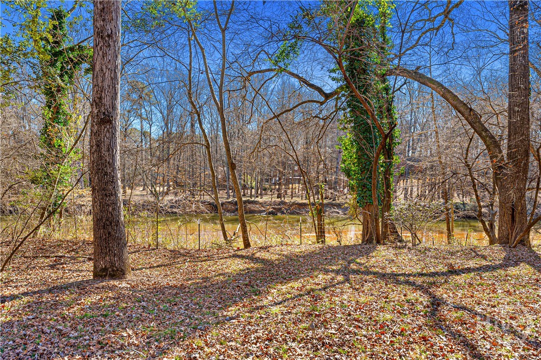 545 Vaughn Road Athens, GA 30606 - Photo 4 of 20 Gallery Image 4