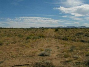 Cedar Road Dolan Springs, AZ 86441 - Photo 1 of 6 Primary Photo