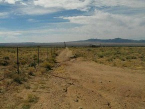 Cedar Road Dolan Springs, AZ 86441 - Photo 3 of 6 Additional Photo