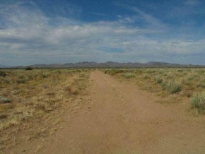 Cedar Road Dolan Springs, AZ 86441 - Photo 5 of 6 Additional Photo