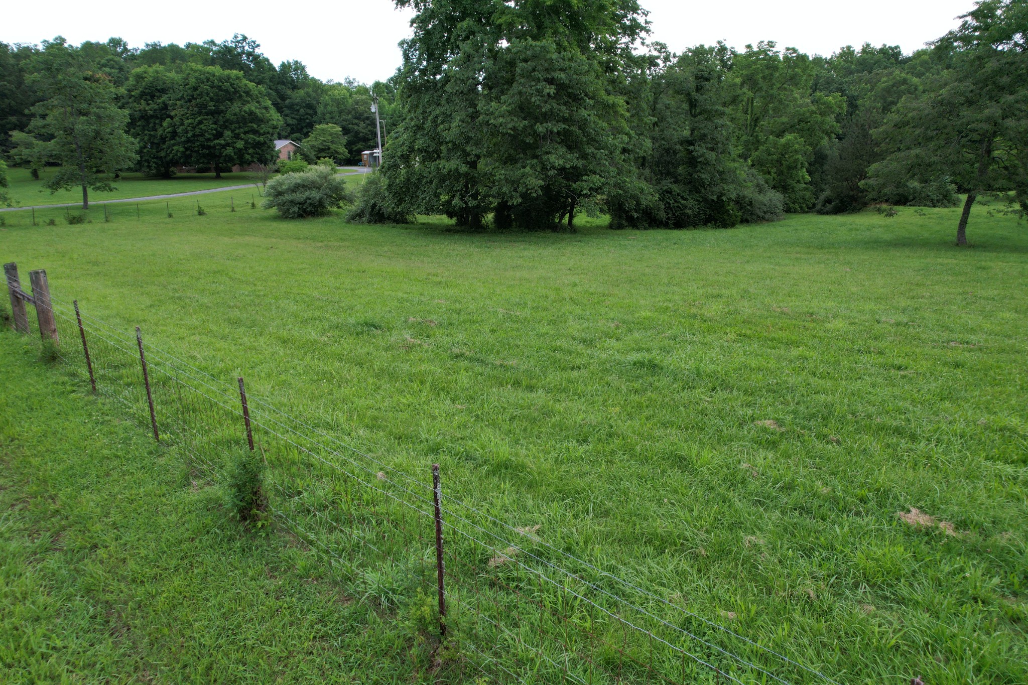 0 Defeated Creek Road Centerville, TN 37033 - Photo 11 of 25 a view of a grassy field with trees