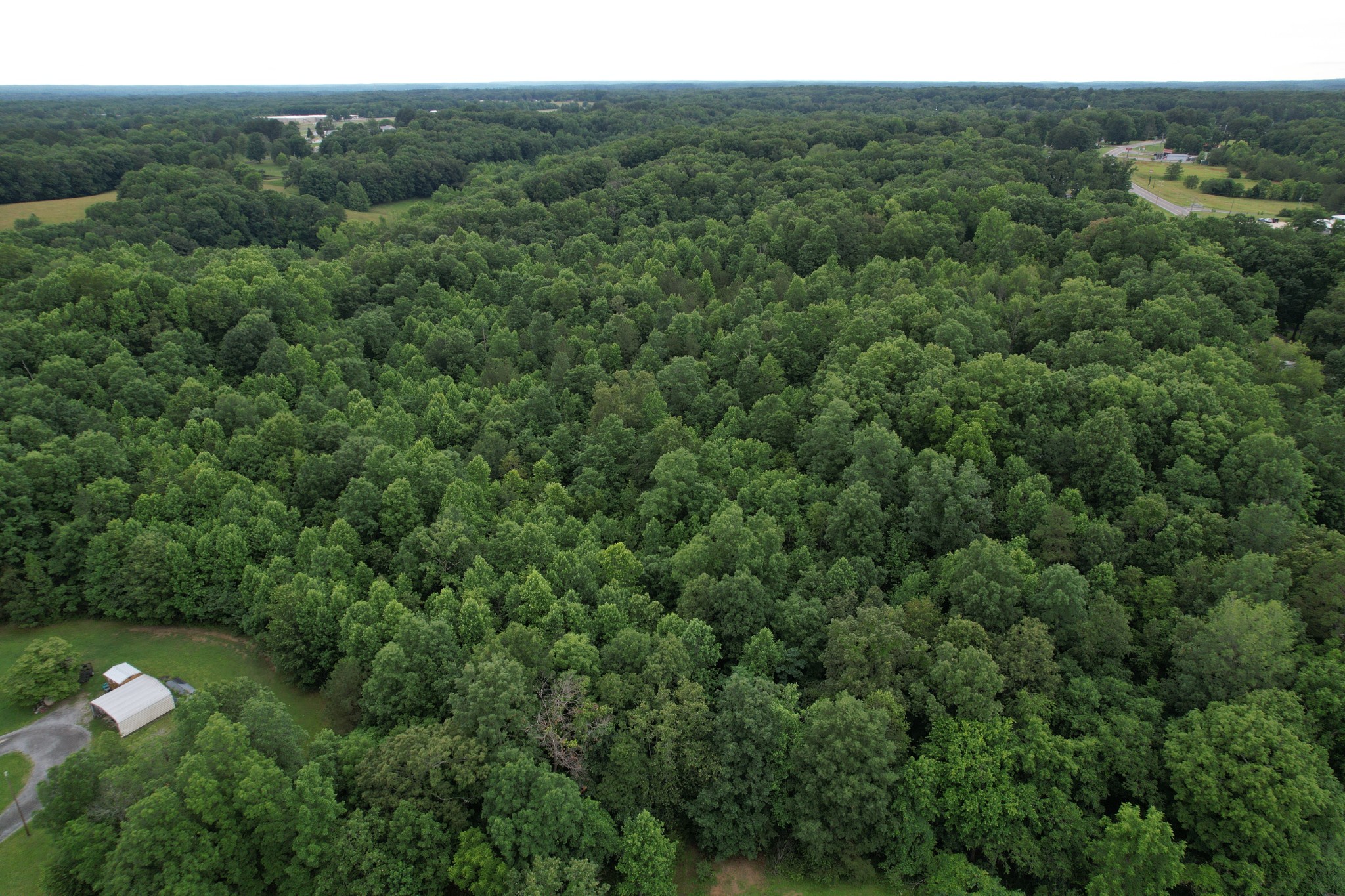 0 Defeated Creek Road Centerville, TN 37033 - Photo 14 of 25 a view of a city with lush green forest