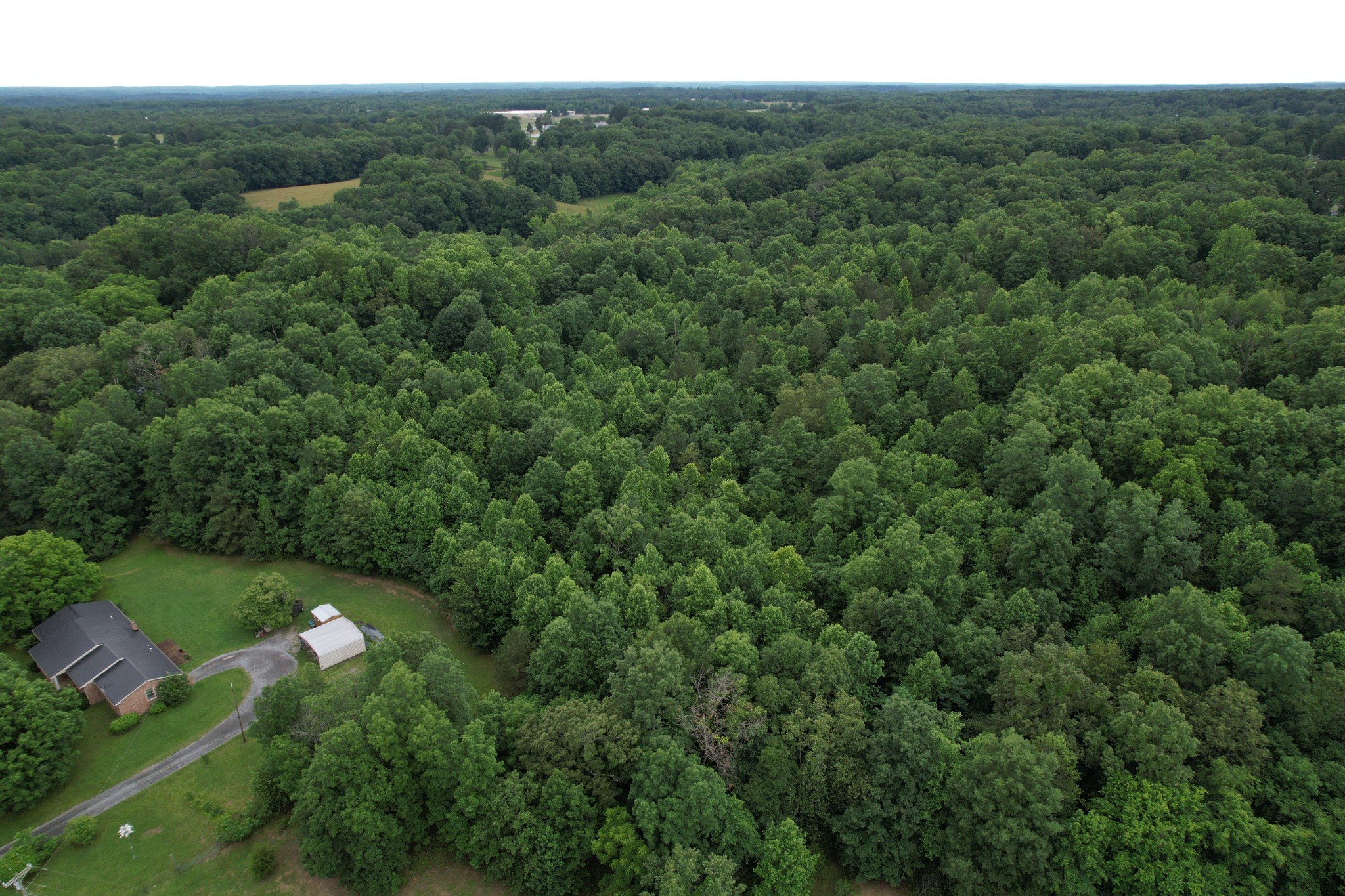 0 Defeated Creek Road Centerville, TN 37033 - Photo 15 of 25 a view of a forest with a street