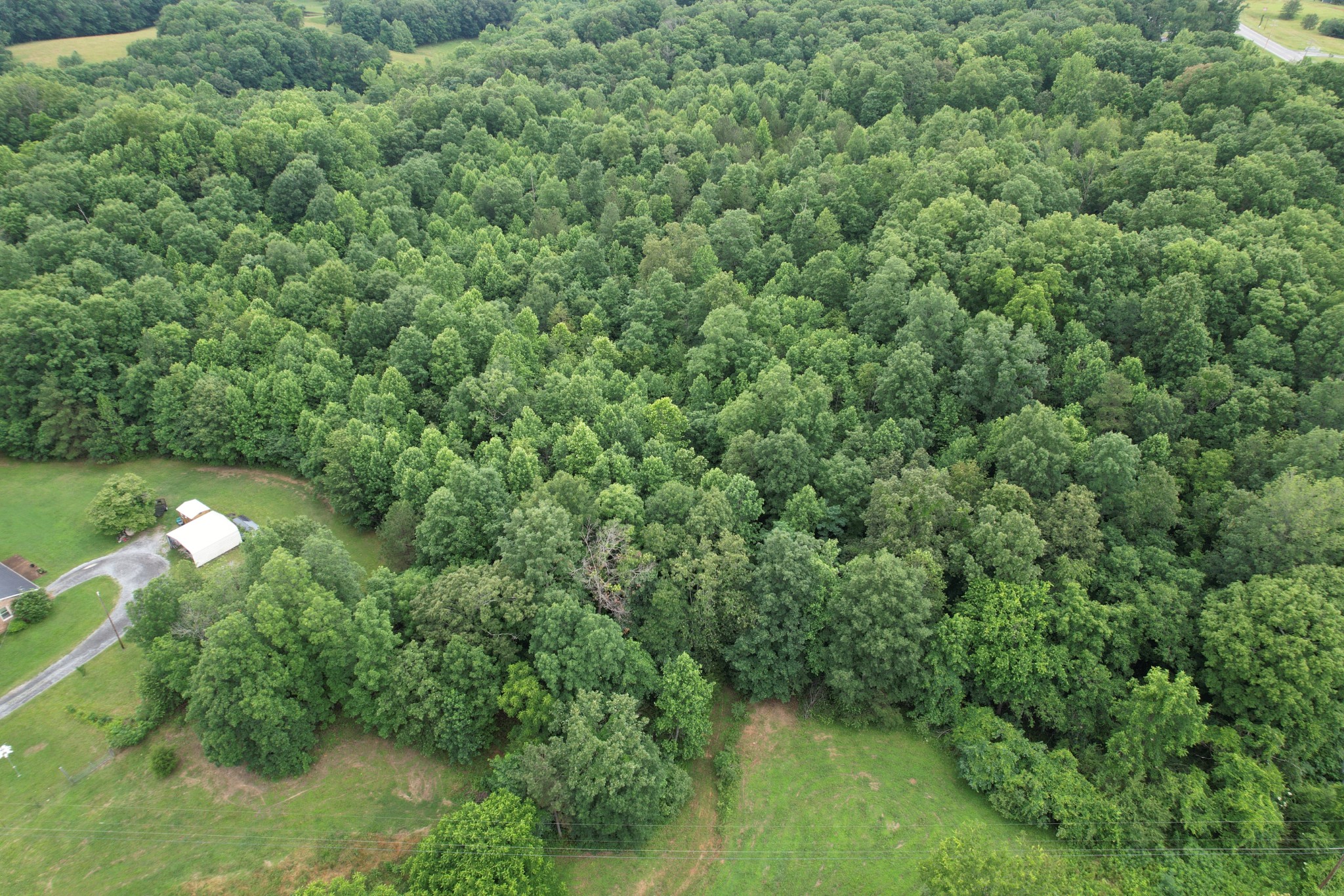 0 Defeated Creek Road Centerville, TN 37033 - Photo 15 of 24