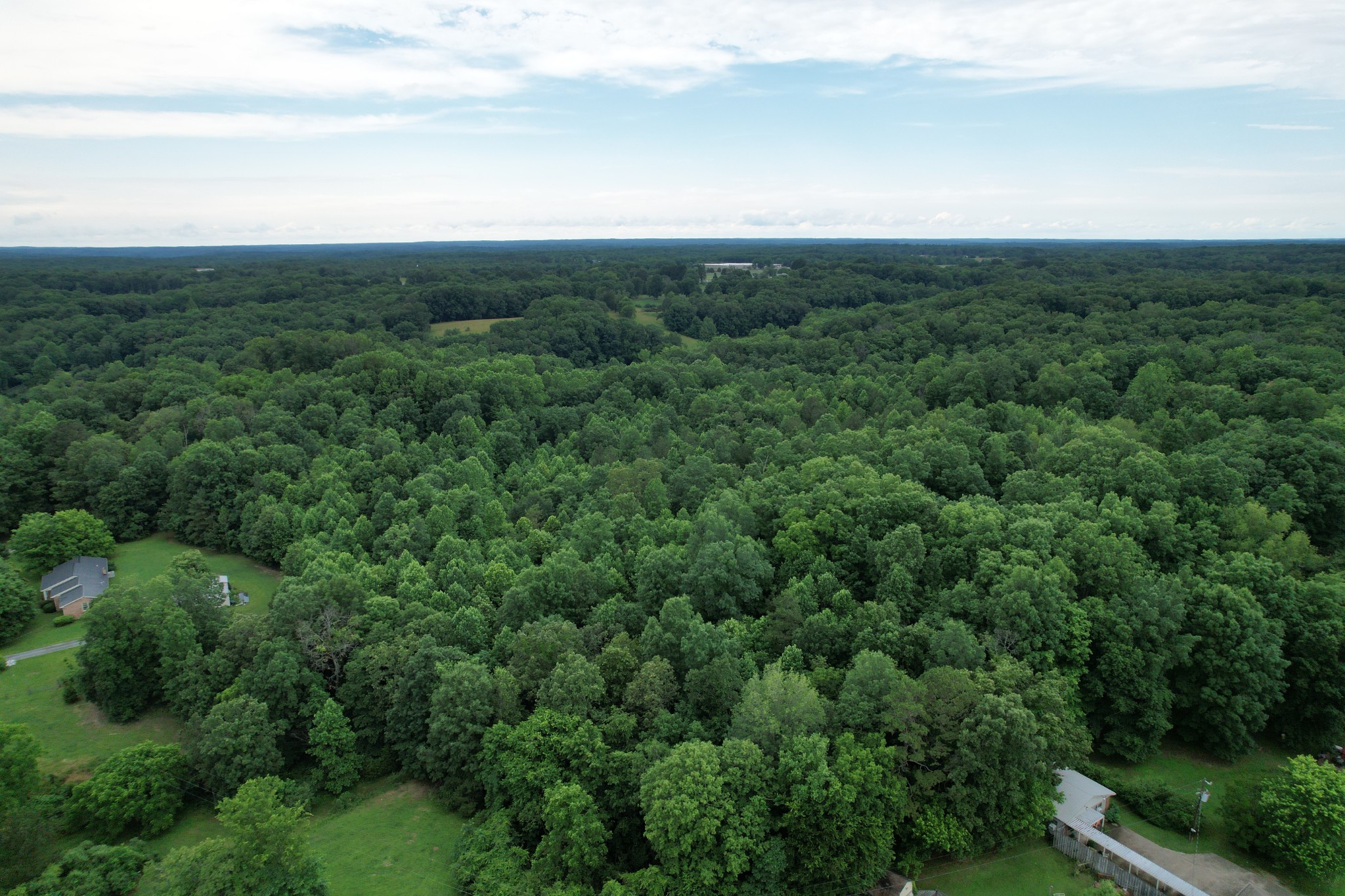 0 Defeated Creek Road Centerville, TN 37033 - Photo 18 of 25 an aerial view of houses covered in trees