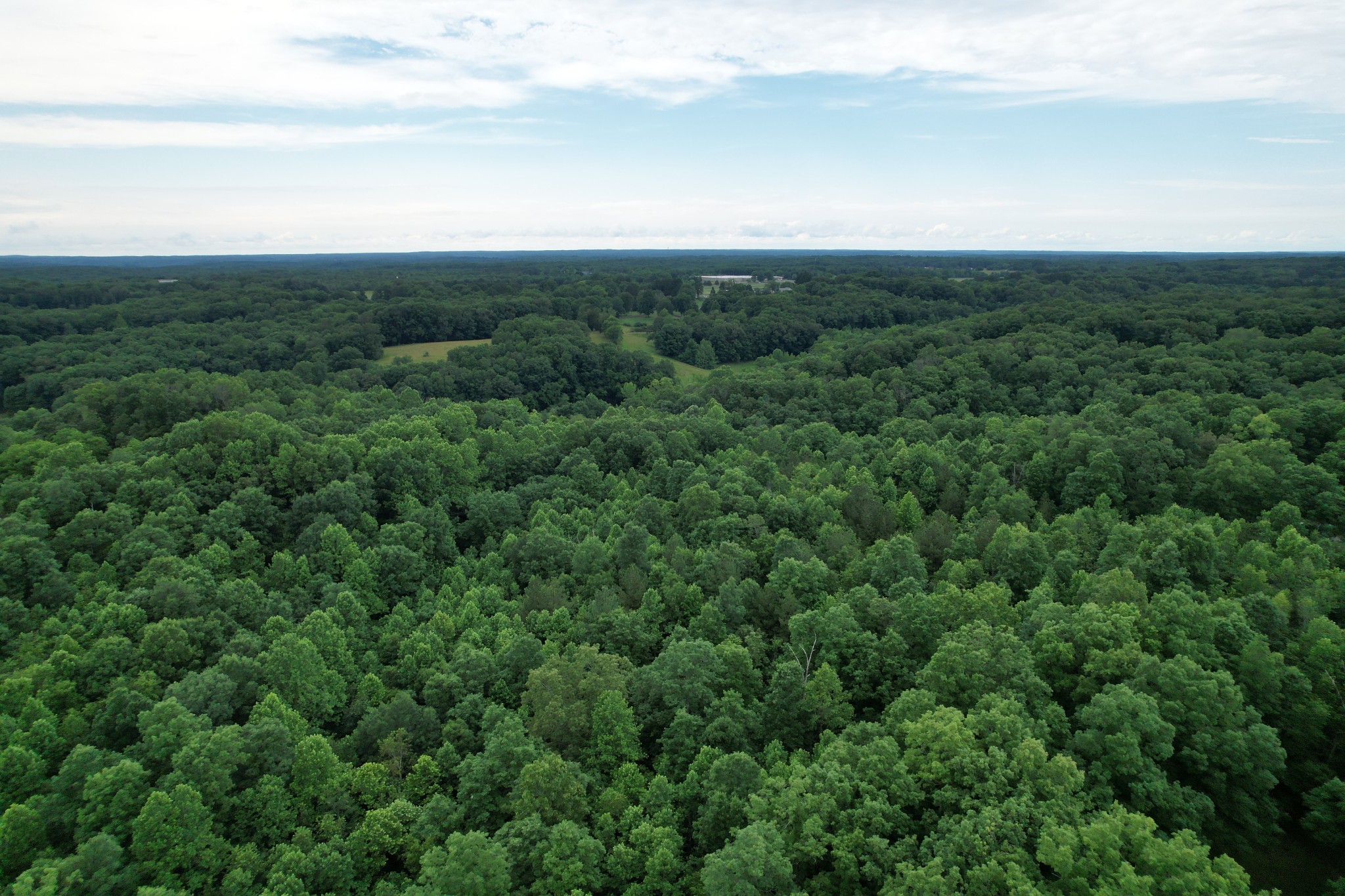 0 Defeated Creek Road Centerville, TN 37033 - Photo 19 of 25 an aerial view of houses covered in trees