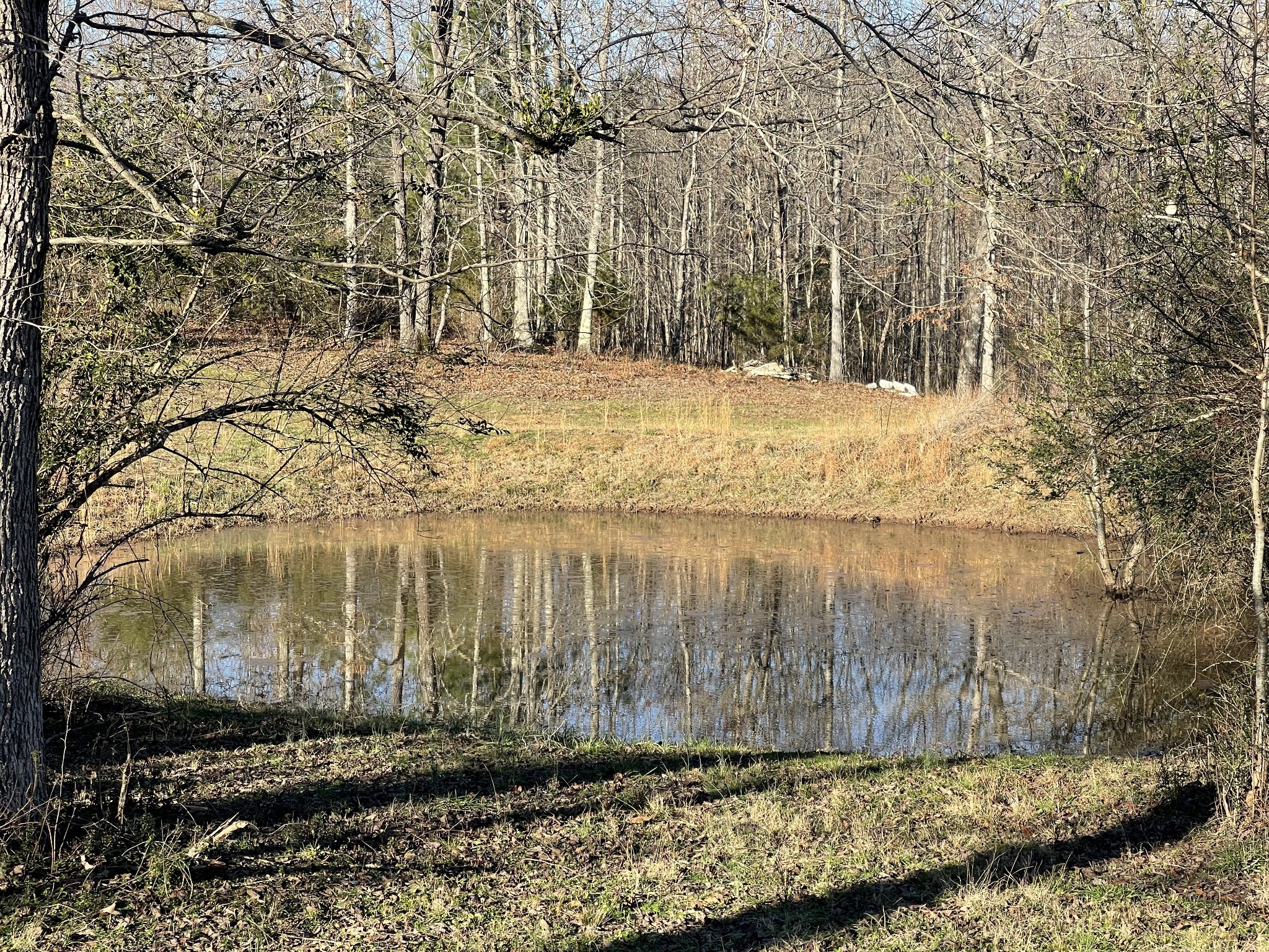 0 Defeated Creek Road Centerville, TN 37033 - Photo 20 of 25 a view of a yard with wooden fence