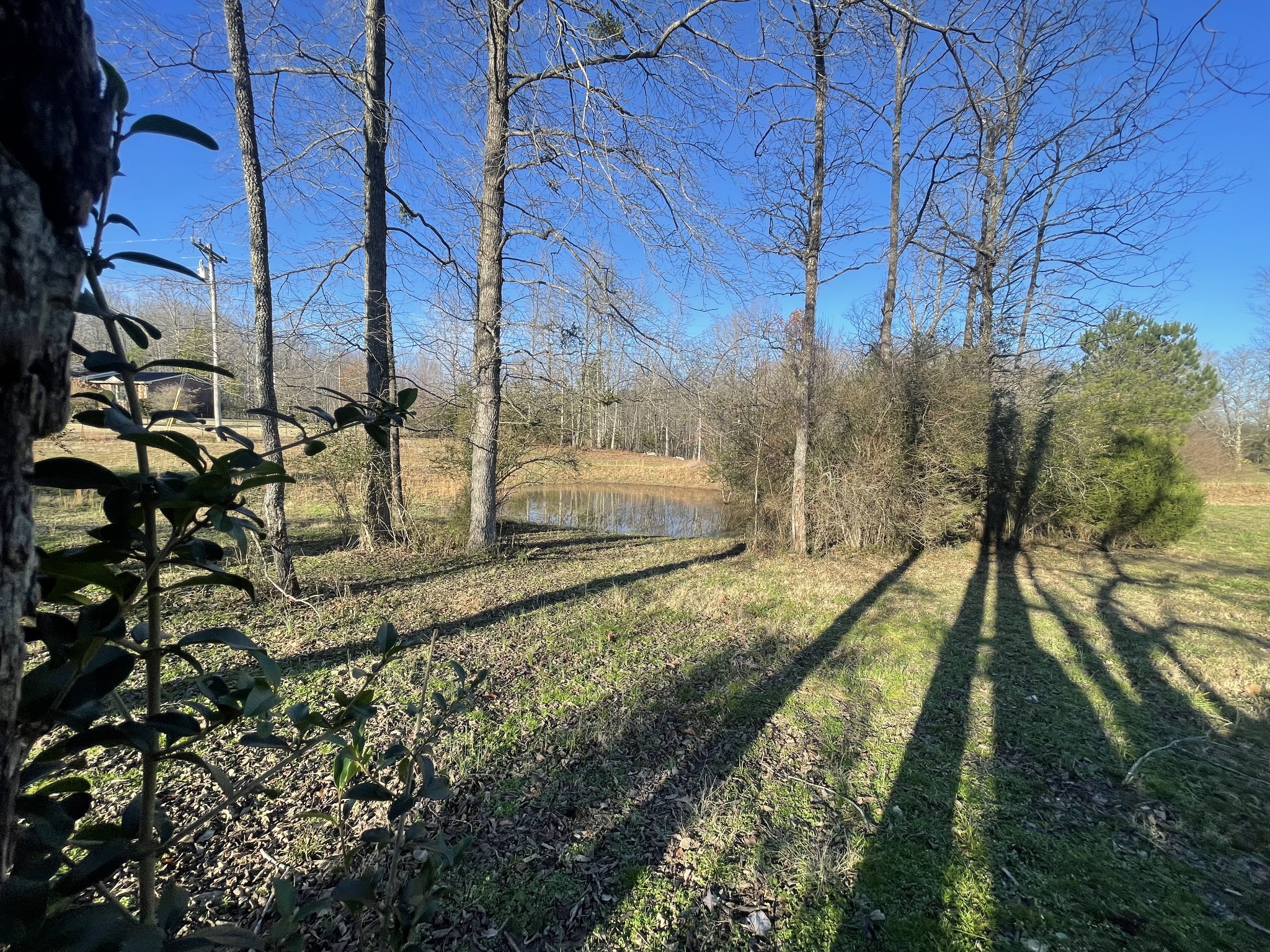 0 Defeated Creek Road Centerville, TN 37033 - Photo 21 of 25 a view of an outdoor space with a lake view