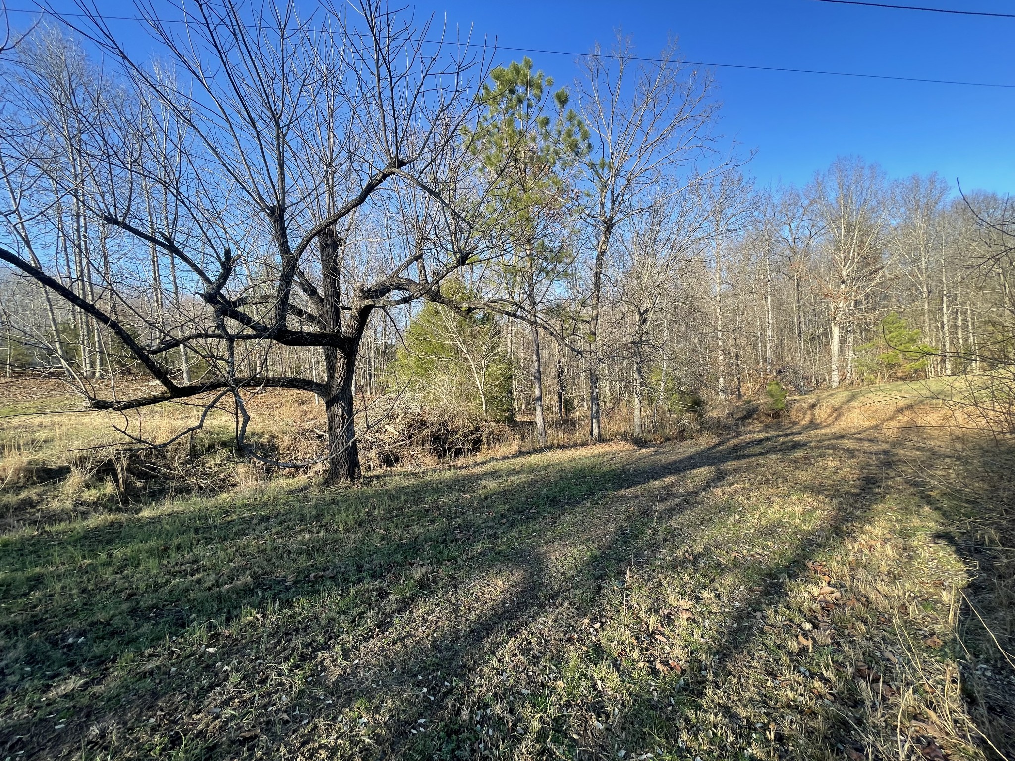 0 Defeated Creek Road Centerville, TN 37033 - Photo 22 of 25 a backyard of a house with lots of green space