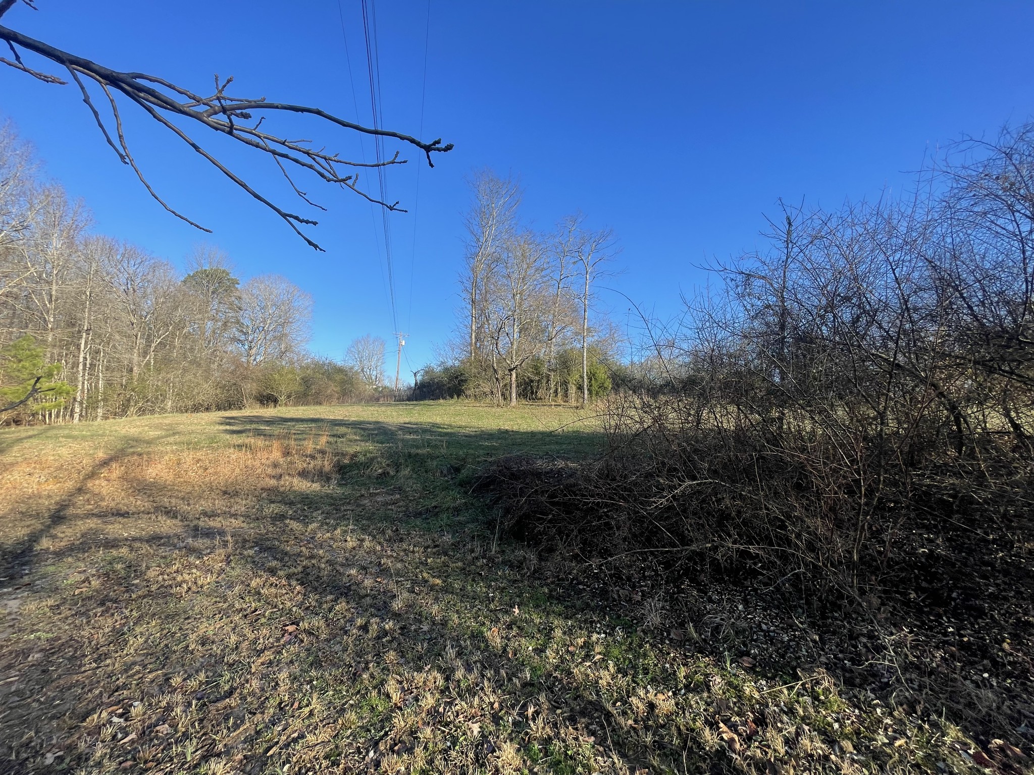 0 Defeated Creek Road Centerville, TN 37033 - Photo 23 of 25 a view of a yard with a tree