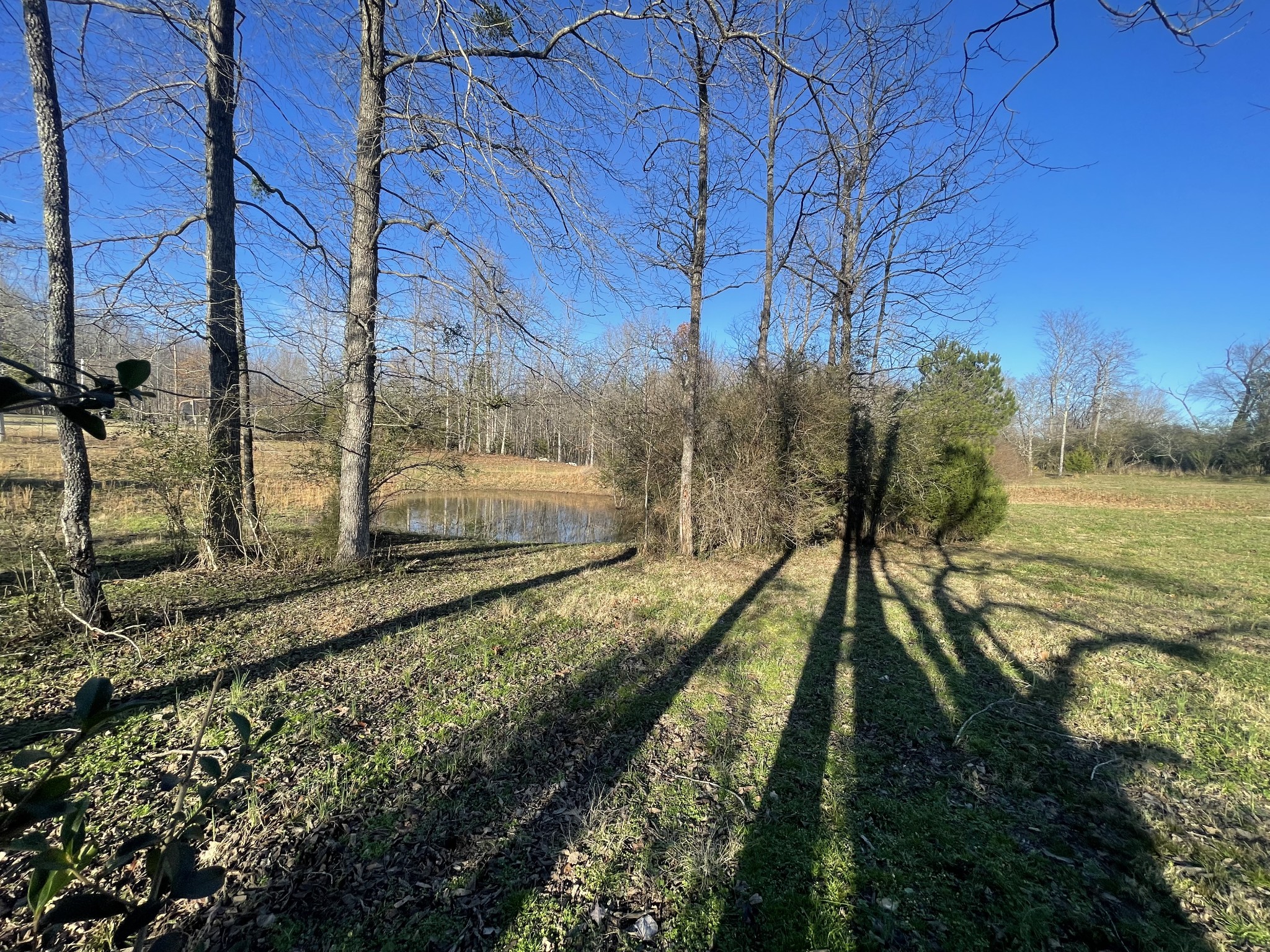 0 Defeated Creek Road Centerville, TN 37033 - Photo 24 of 25 a view of a house with a yard