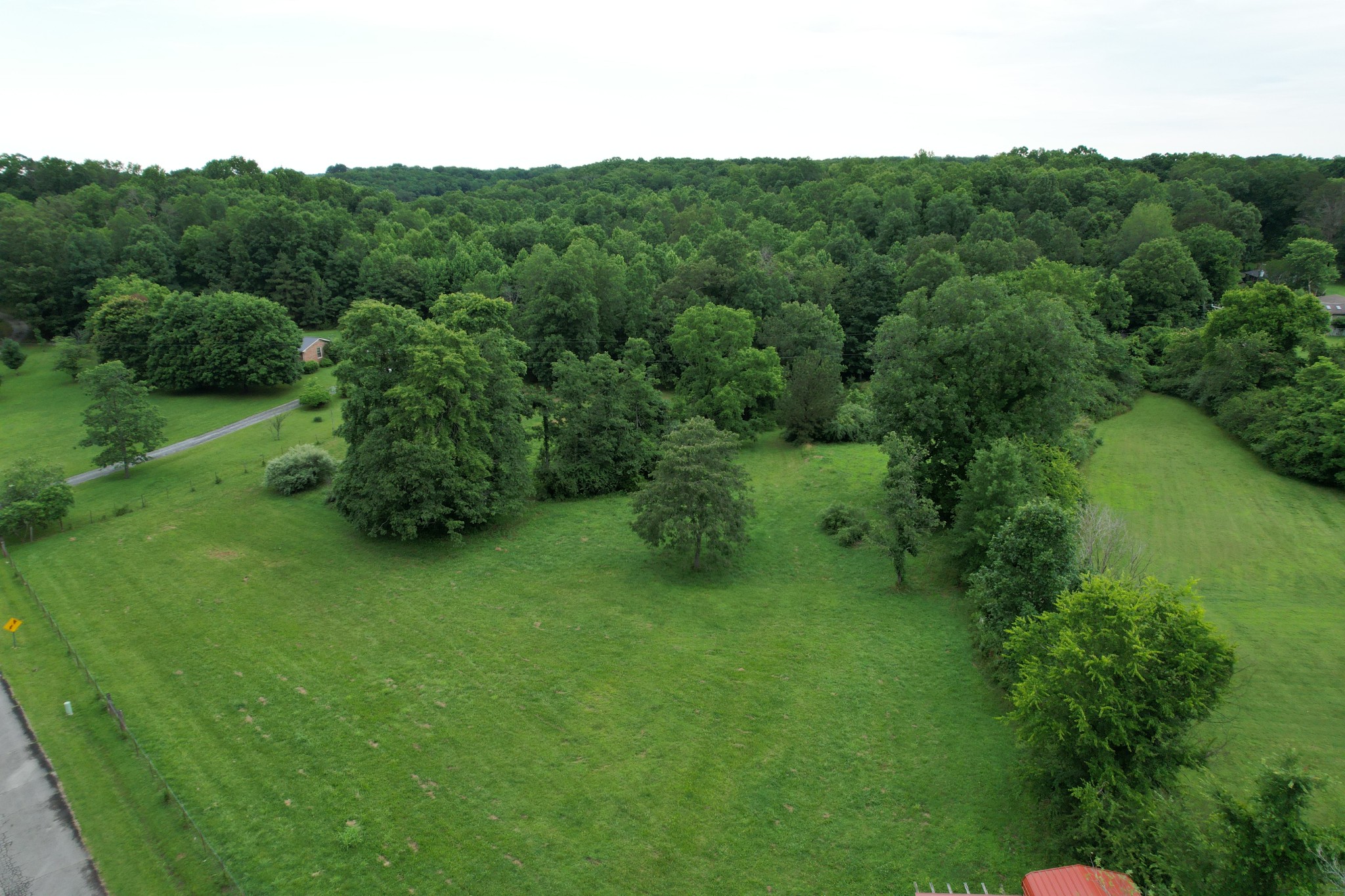 0 Defeated Creek Road Centerville, TN 37033 - Photo 4 of 25 a green field with lots of trees