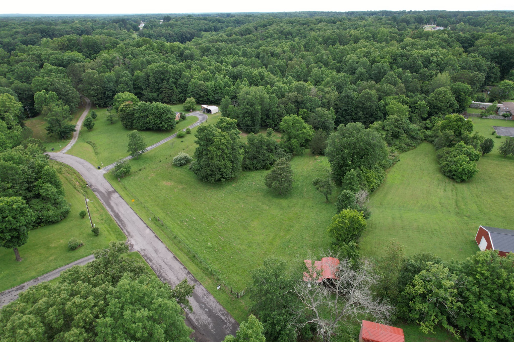 0 Defeated Creek Road Centerville, TN 37033 - Photo 5 of 25 a view of a garden with a lake