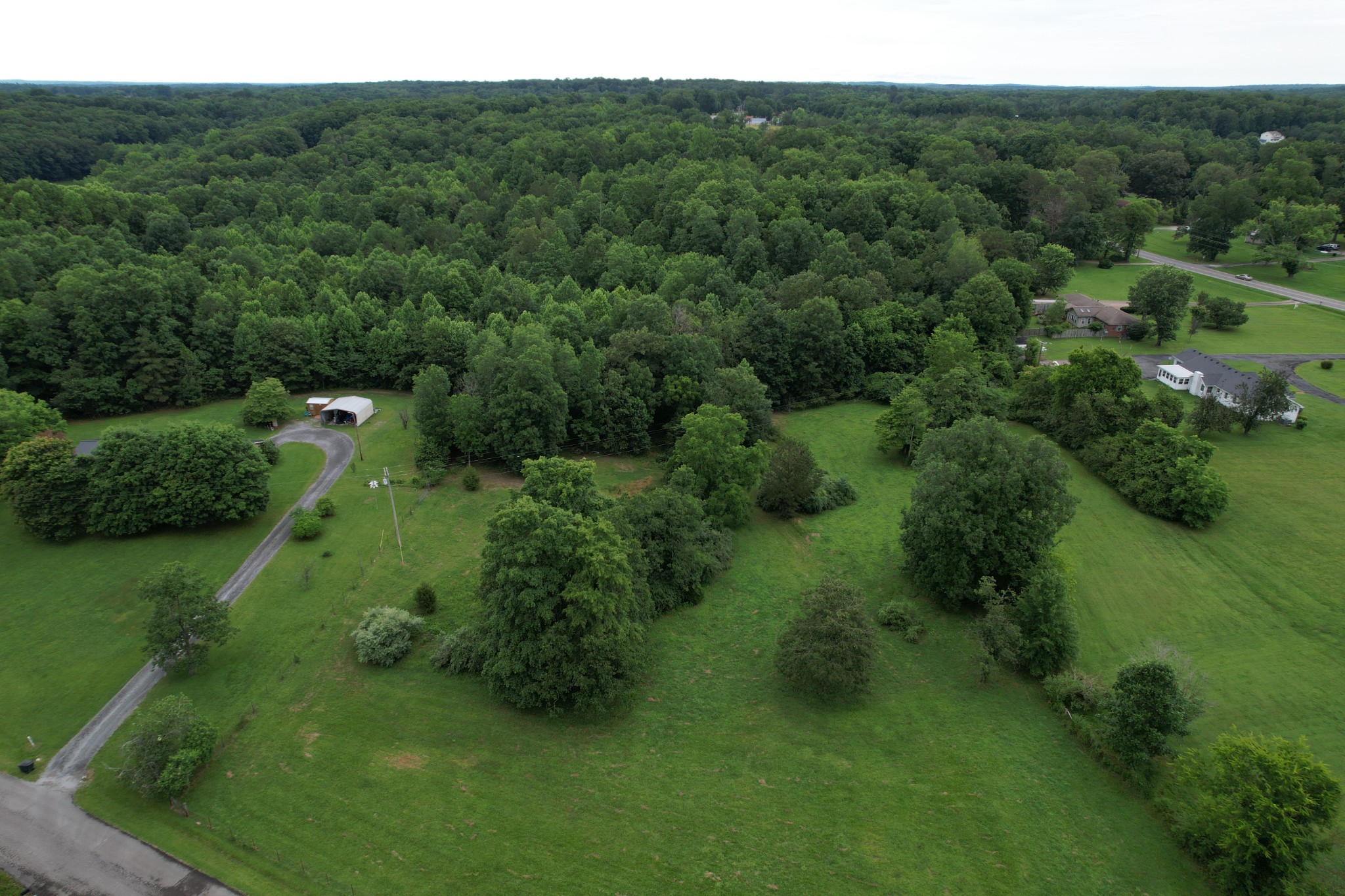 0 Defeated Creek Road Centerville, TN 37033 - Photo 6 of 25 a view of a lush green forest with trees and some houses
