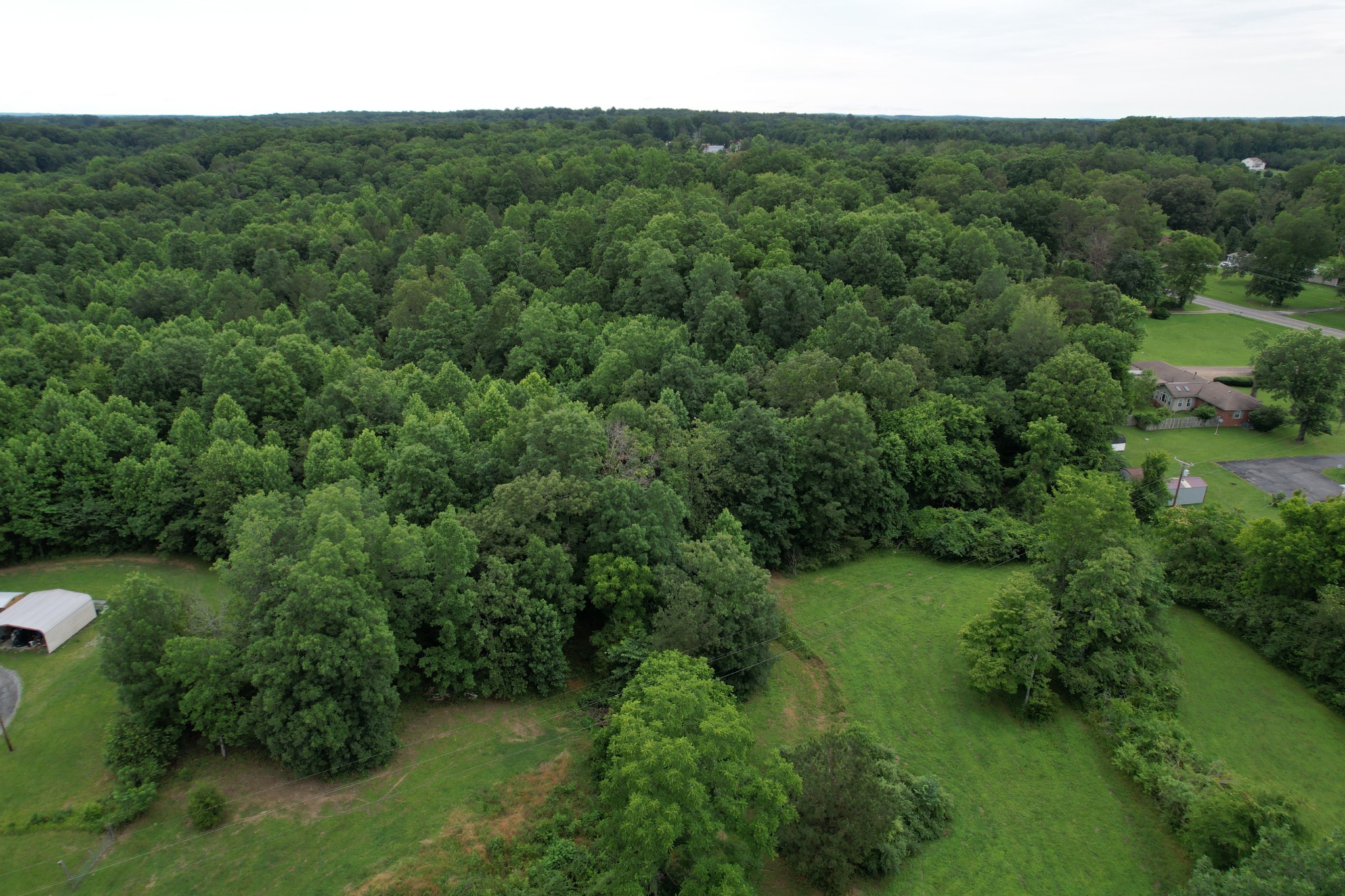 0 Defeated Creek Road Centerville, TN 37033 - Photo 8 of 25 an aerial view of a house with a yard