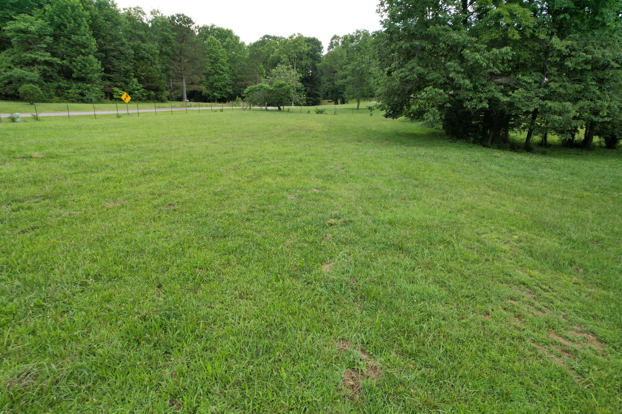 0 Defeated Creek Road Centerville, TN 37033 - Photo 9 of 25 a view of a green field with trees