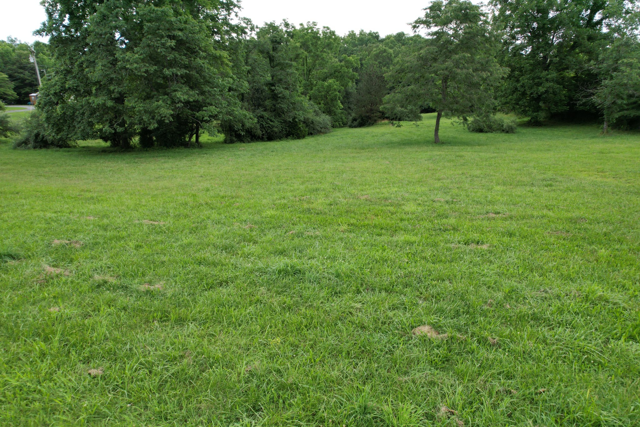 0 Defeated Creek Road Centerville, TN 37033 - Photo 10 of 25 a view of a green field with a trees