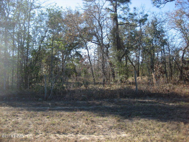 0 Northwest Bar G Ranch Road Altha, FL 32421 - Photo 1 of 1 Gallery Image 1