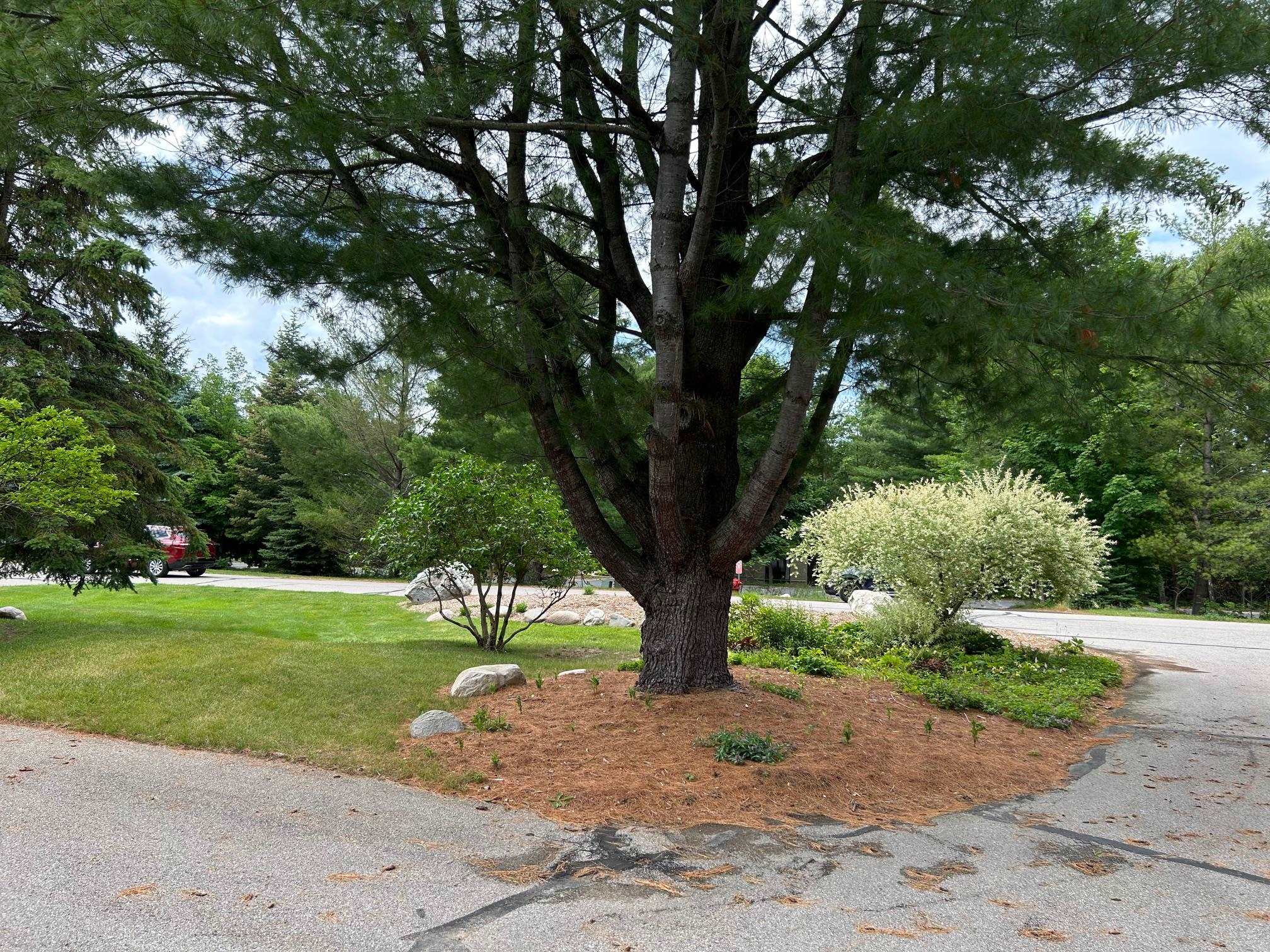 6556 Mission Ridge Traverse City, MI 49686 - Photo 8 of 50 1935905-50ae16d1-c7a1-4093-bf76-df953a403331.JPG