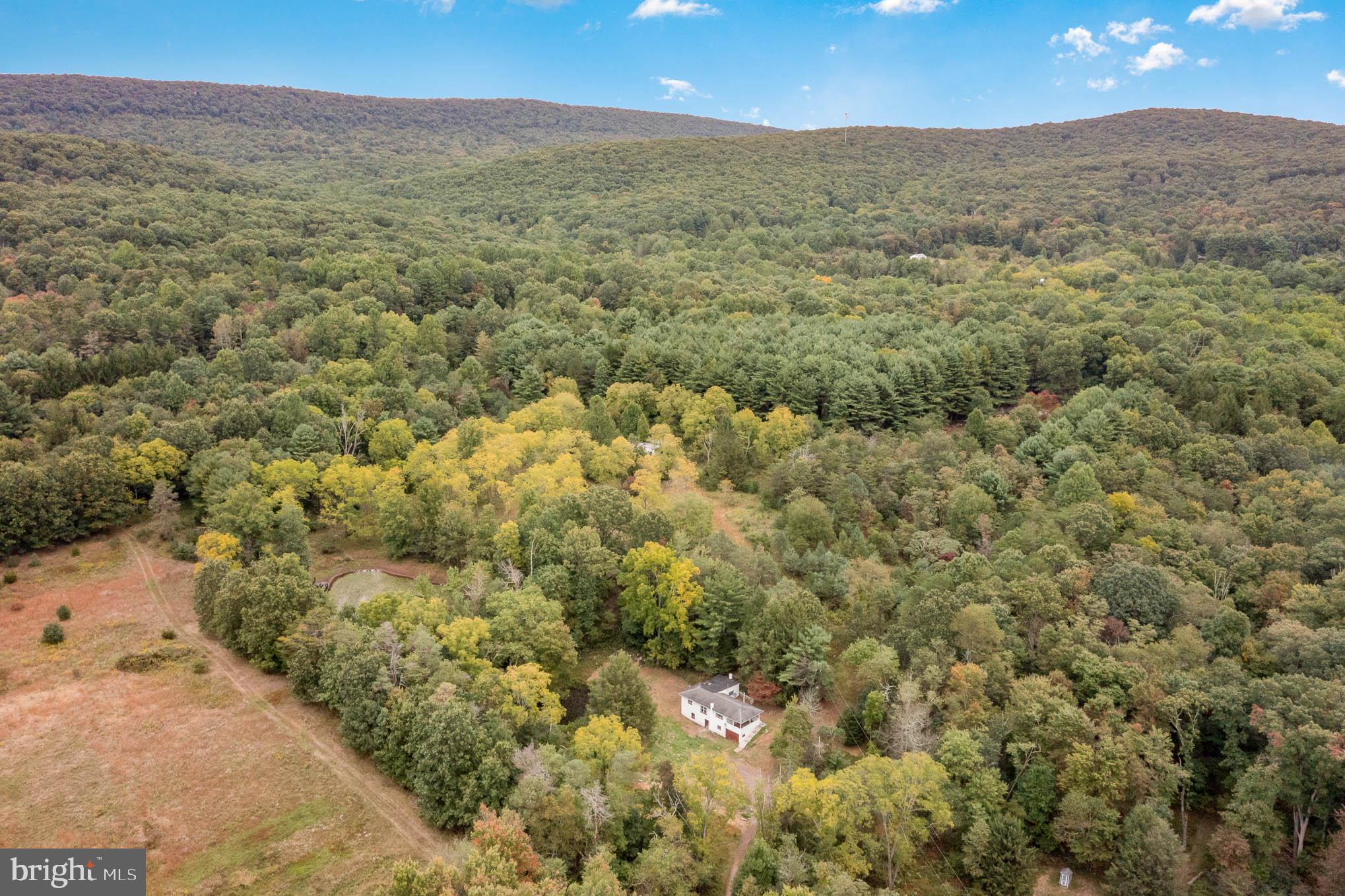 4586 Back Road Halifax, PA 17032 - Photo 34 of 35 Aerial Shot Showing Woods