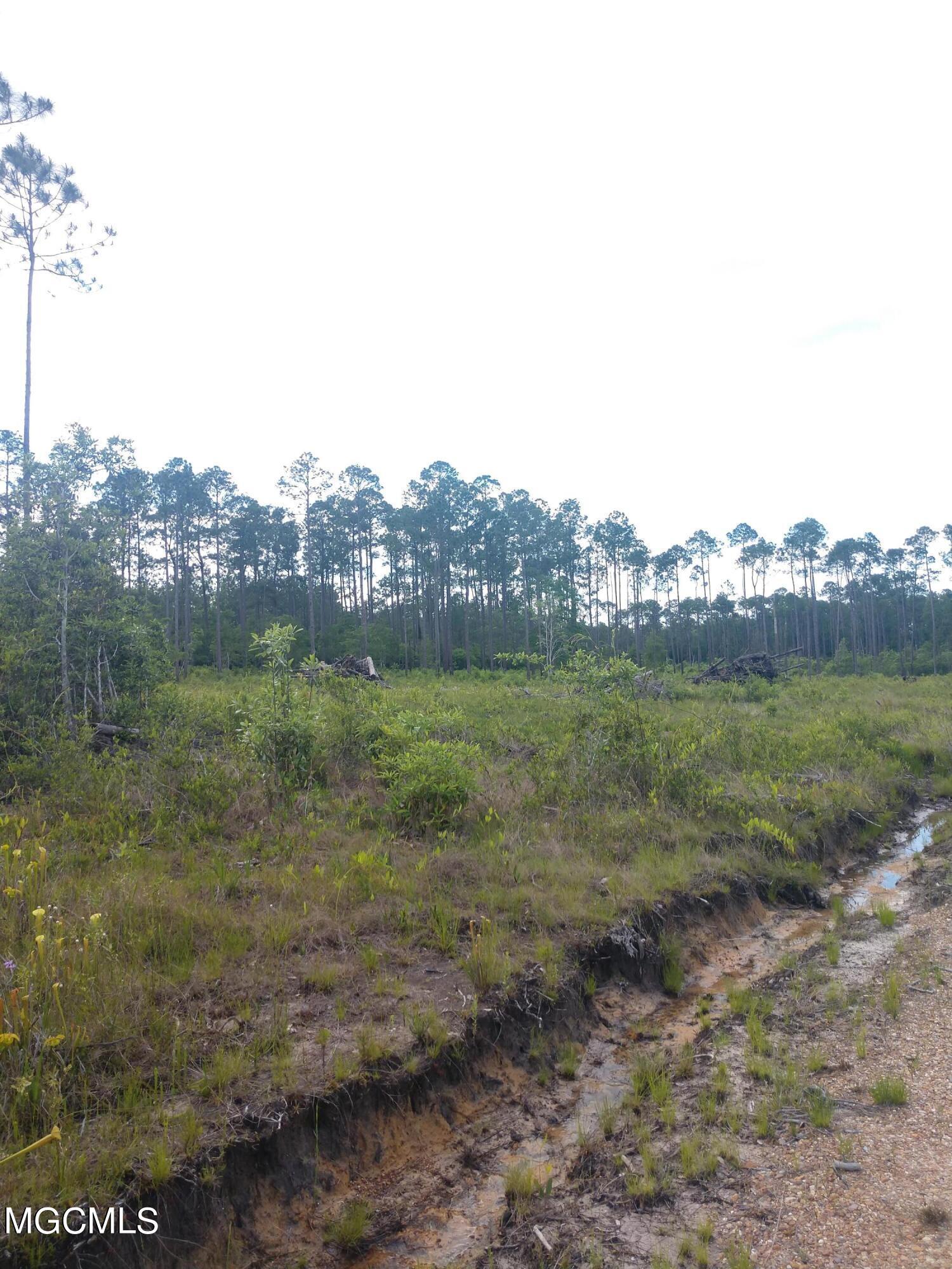 0 Elmer Ladner Road Pass Christian, MS 39571 - Photo 4 of 5 IMG_20210513_163225730 (1)