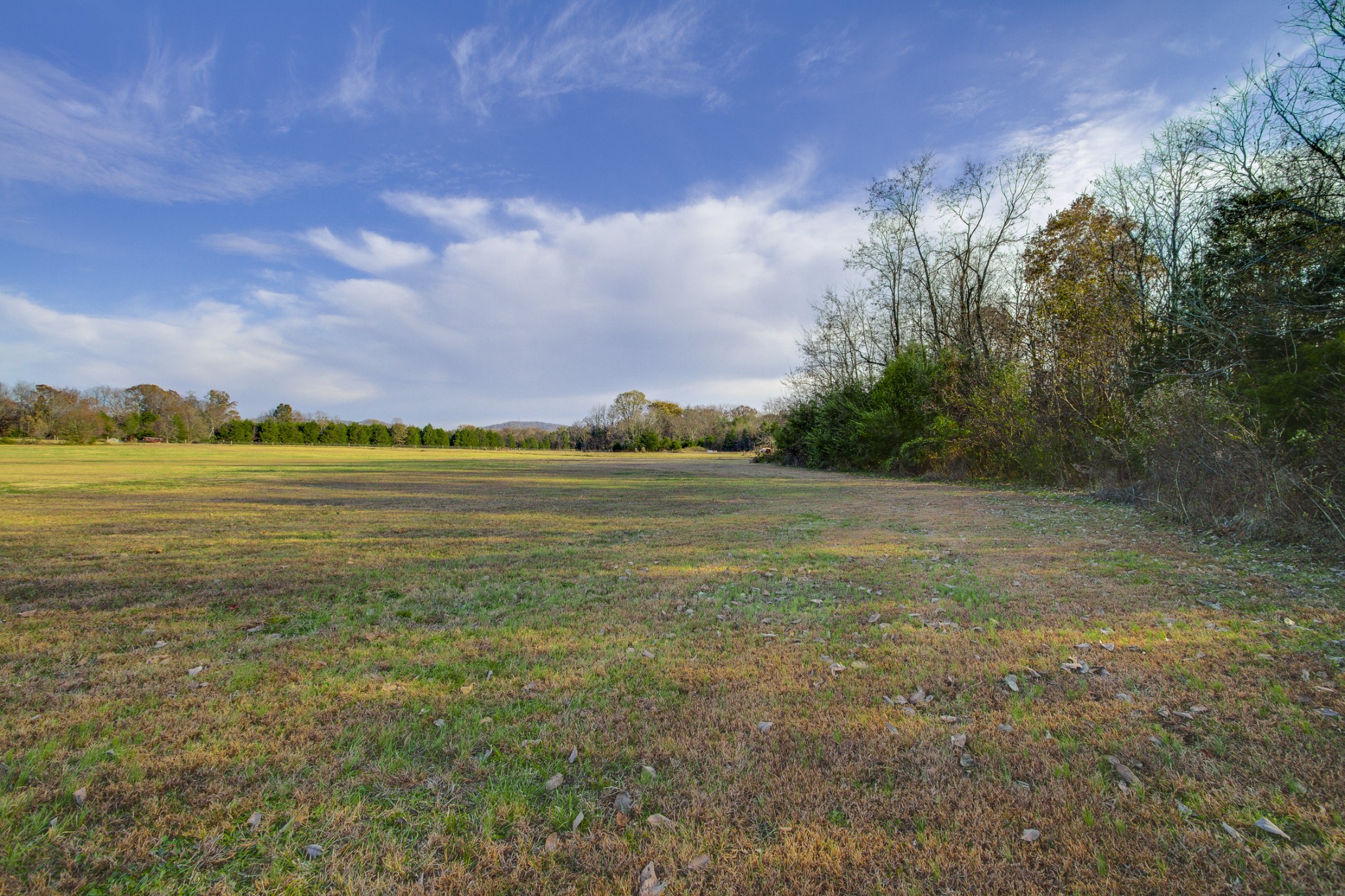 1275 Anderton Road Bell Buckle, TN 37020 - Photo 28 of 30