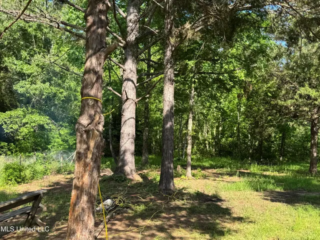 $160,000 | 44 Marshall Cove, Byhalia, MS 38611