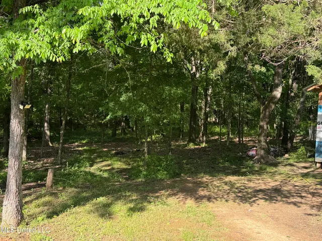 $160,000 | 44 Marshall Cove, Byhalia, MS 38611