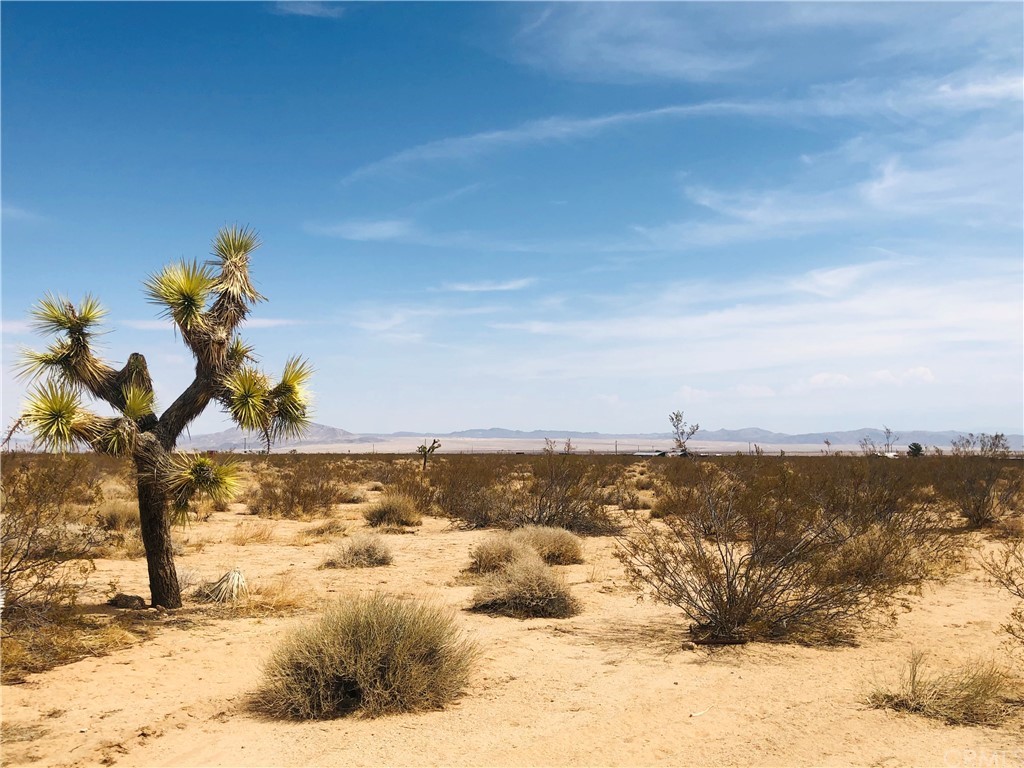2 Sunset Road Joshua Tree, CA 92252 - Photo 1 of 1