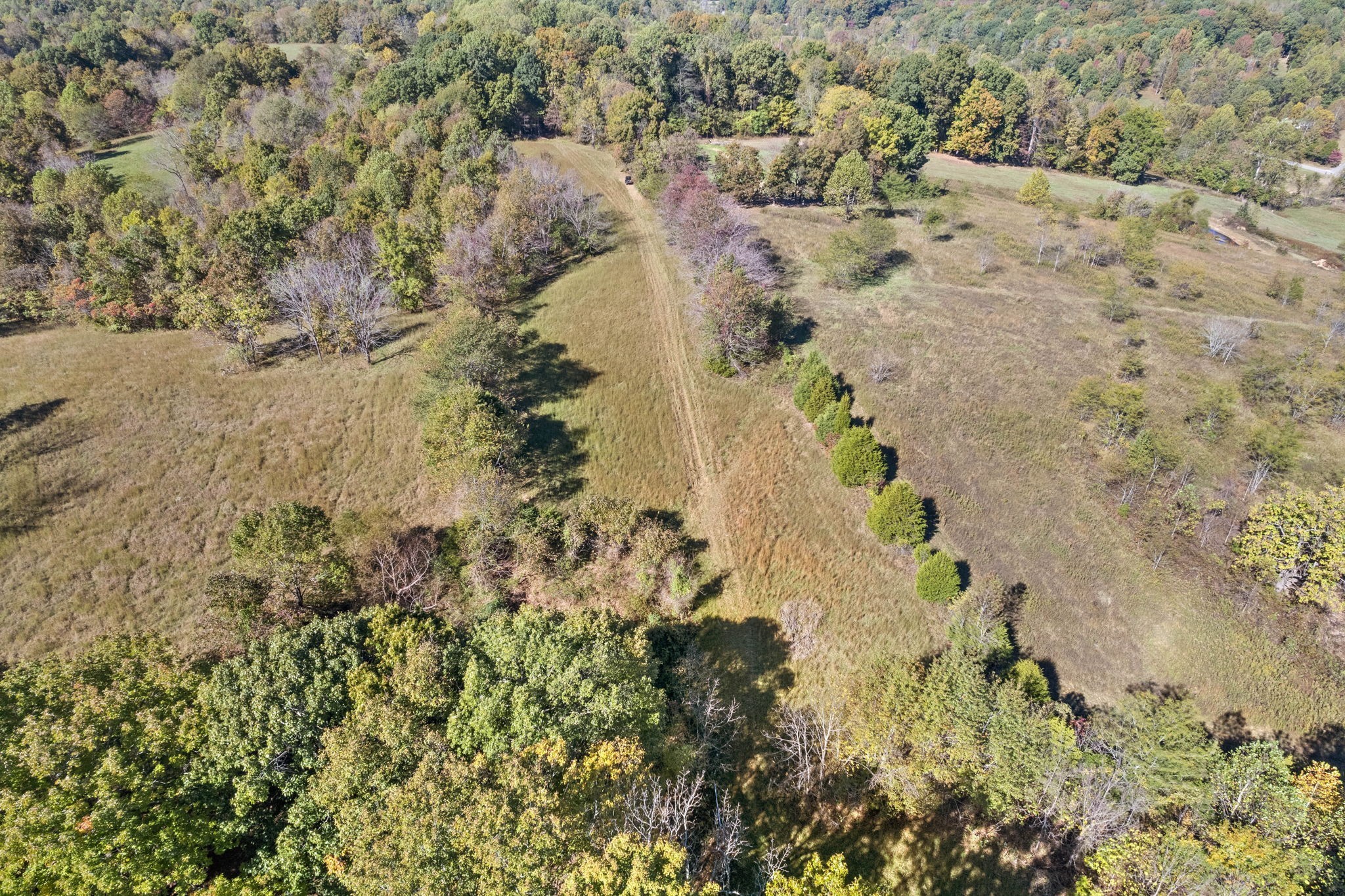 2218 Broome Road Palmyra, TN 37142 - Photo 21 of 32