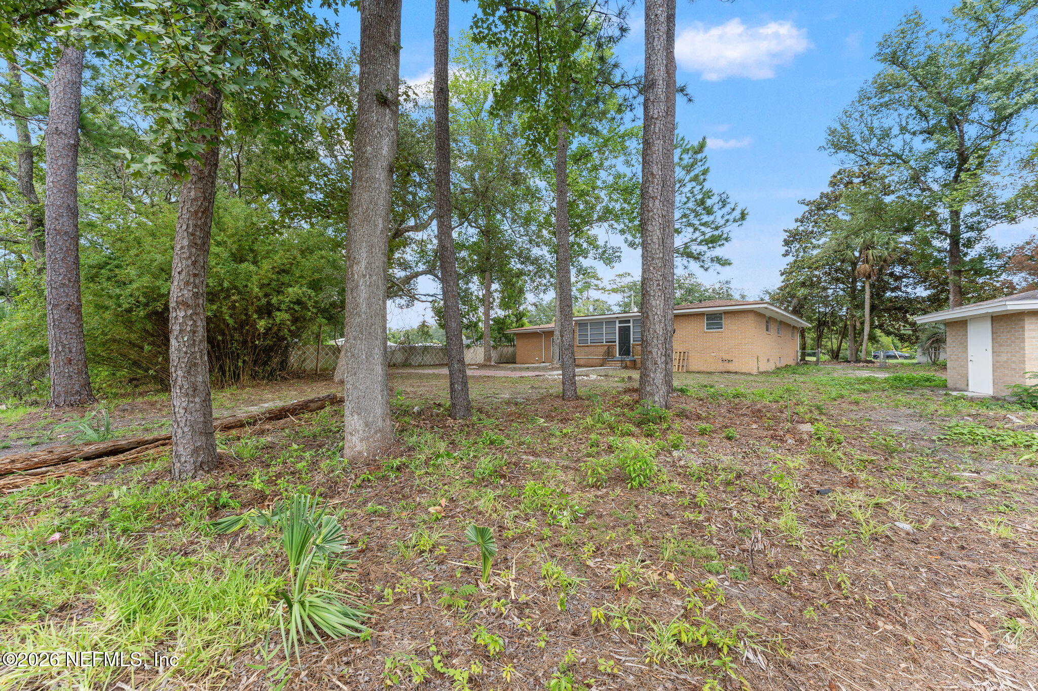 4452 Roth Drive South Jacksonville, FL 32209 - Photo 20 of 21 33-web-or-mls-DSC08248
