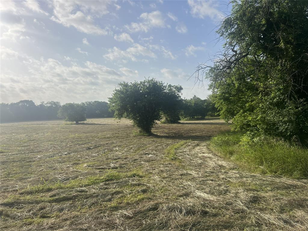 Seven Seven Oaks Road Bonham, TX 75418 - Photo 10 of 21