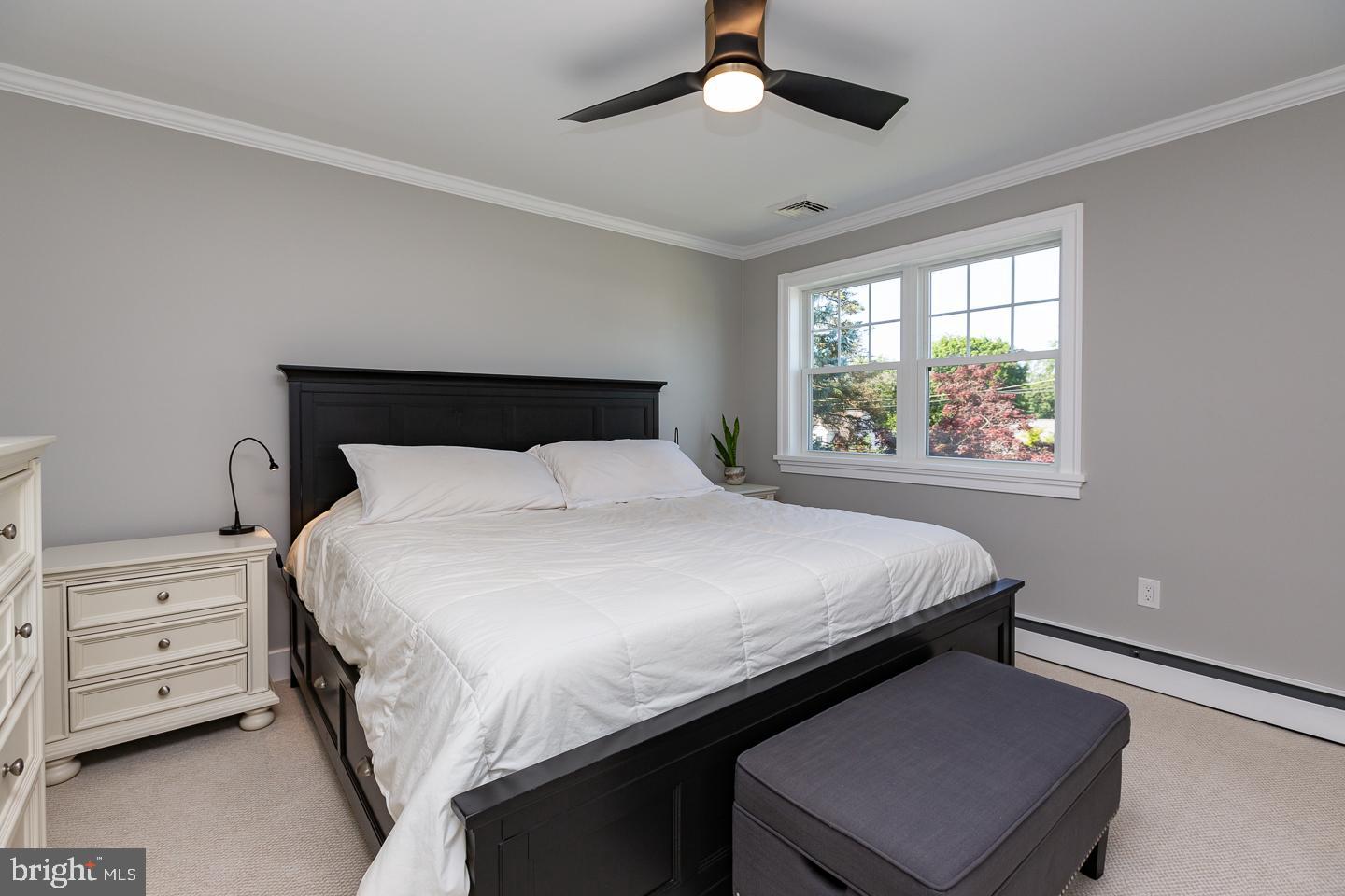 100 Bobbin Mill Road Media, PA 19063 - Photo 21 of 37 Primary Bedroom w/Crown Molding & Ceiling Fan