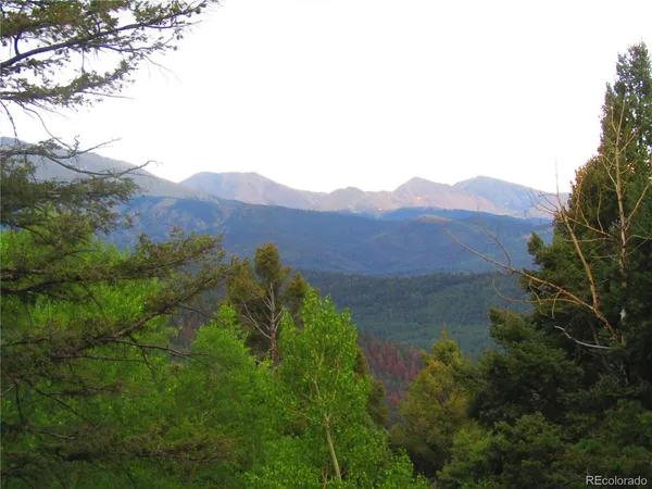 $24,000 | 6447 Shoshita Road, San Luis, CO 81152