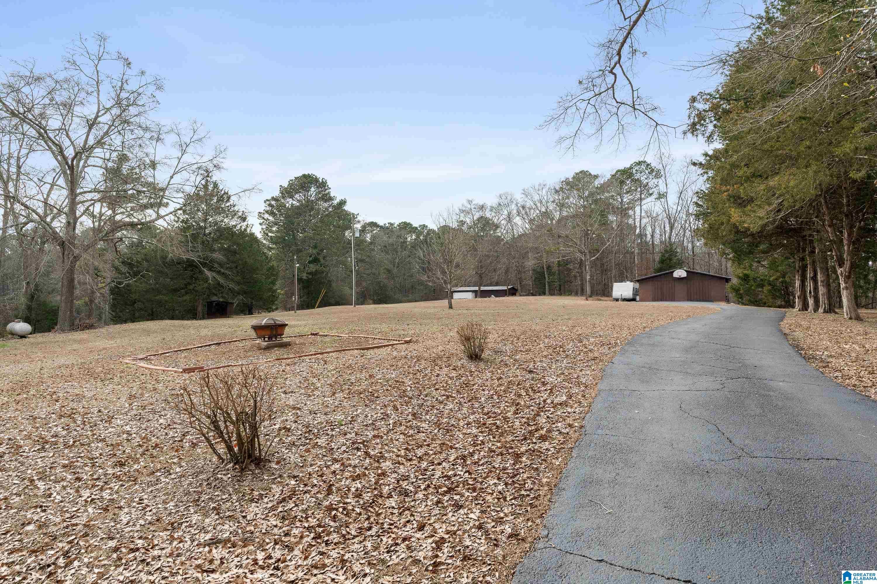 4175 Logan Martin Dam Road Cropwell, AL 35054 - Photo 30 of 47