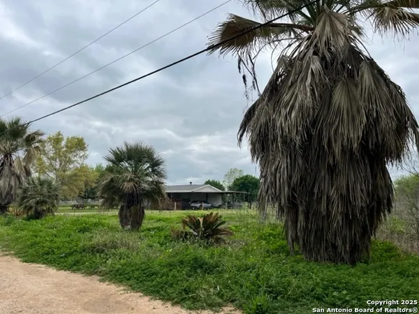 a couple of palm trees in front of a house