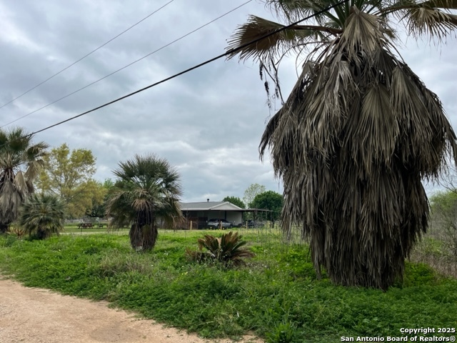 a couple of palm trees in front of a house