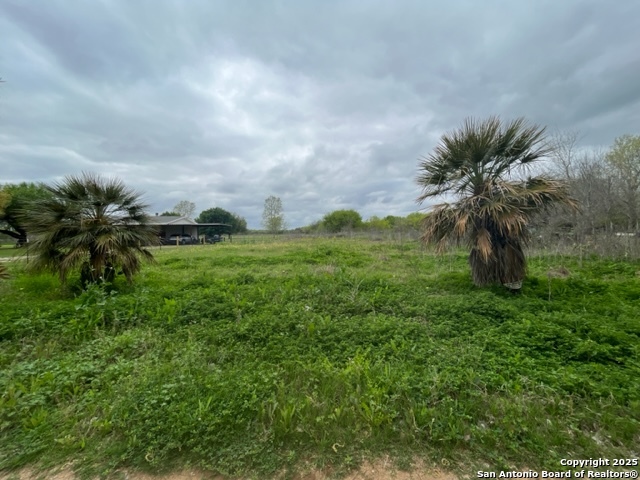 Tbd Pr 6736 Devine, TX 78016 - Photo 2 of 5 a big yard with lots of green space