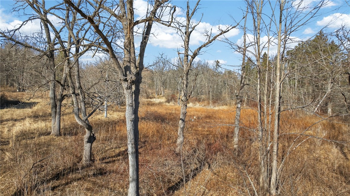 4786 Italy Hill Road Jerusalem, NY 14418 - Photo 15 of 18