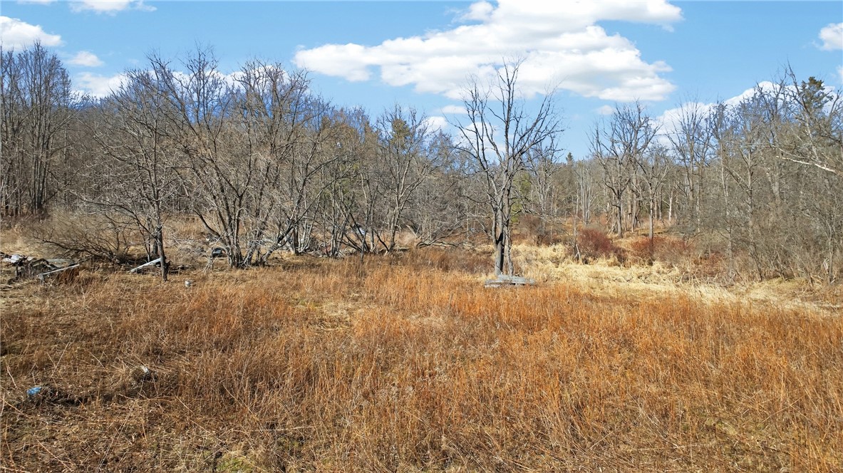 4786 Italy Hill Road Jerusalem, NY 14418 - Photo 16 of 18