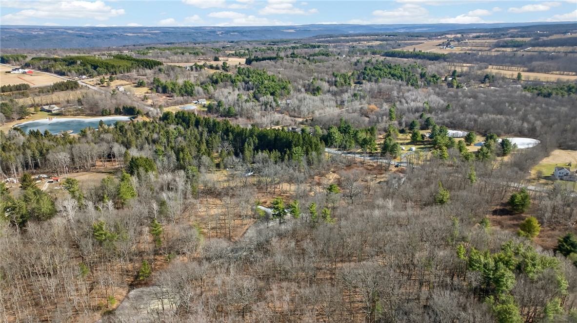 4786 Italy Hill Road Jerusalem, NY 14418 - Photo 4 of 18