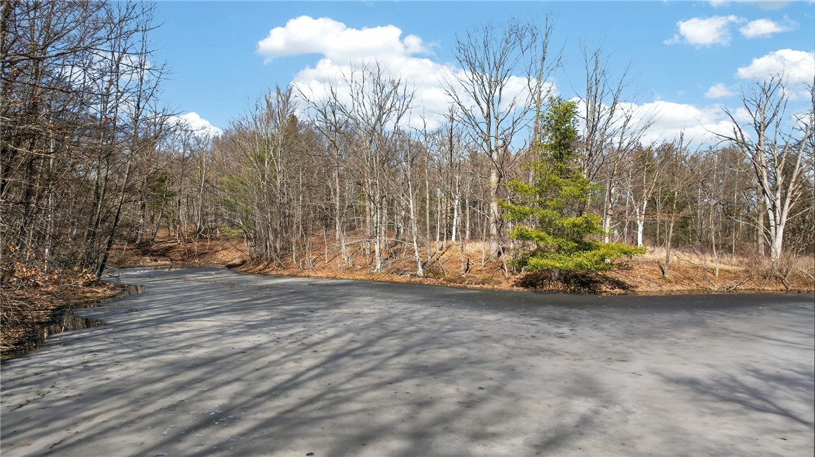 4786 Italy Hill Road Jerusalem, NY 14418 - Photo 8 of 18