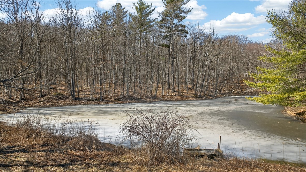 4786 Italy Hill Road Jerusalem, NY 14418 - Photo 9 of 18