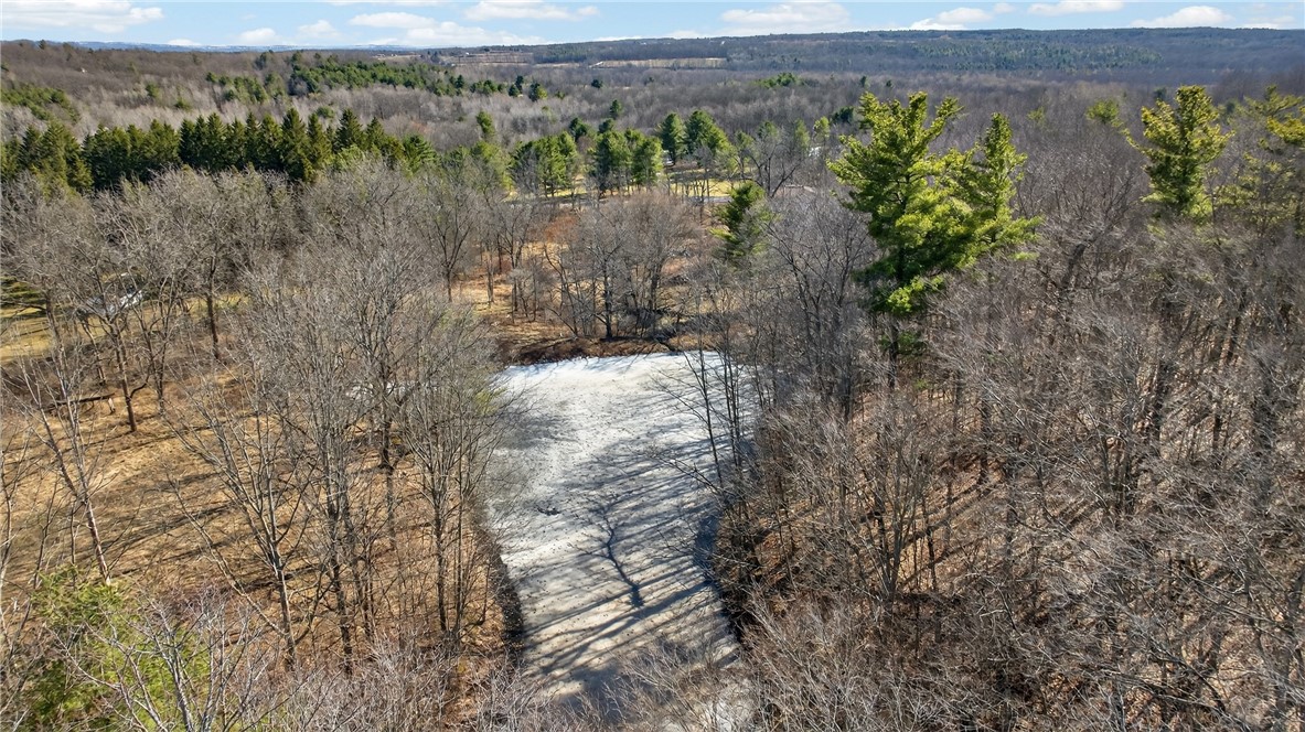 4786 Italy Hill Road Jerusalem, NY 14418 - Photo 10 of 18