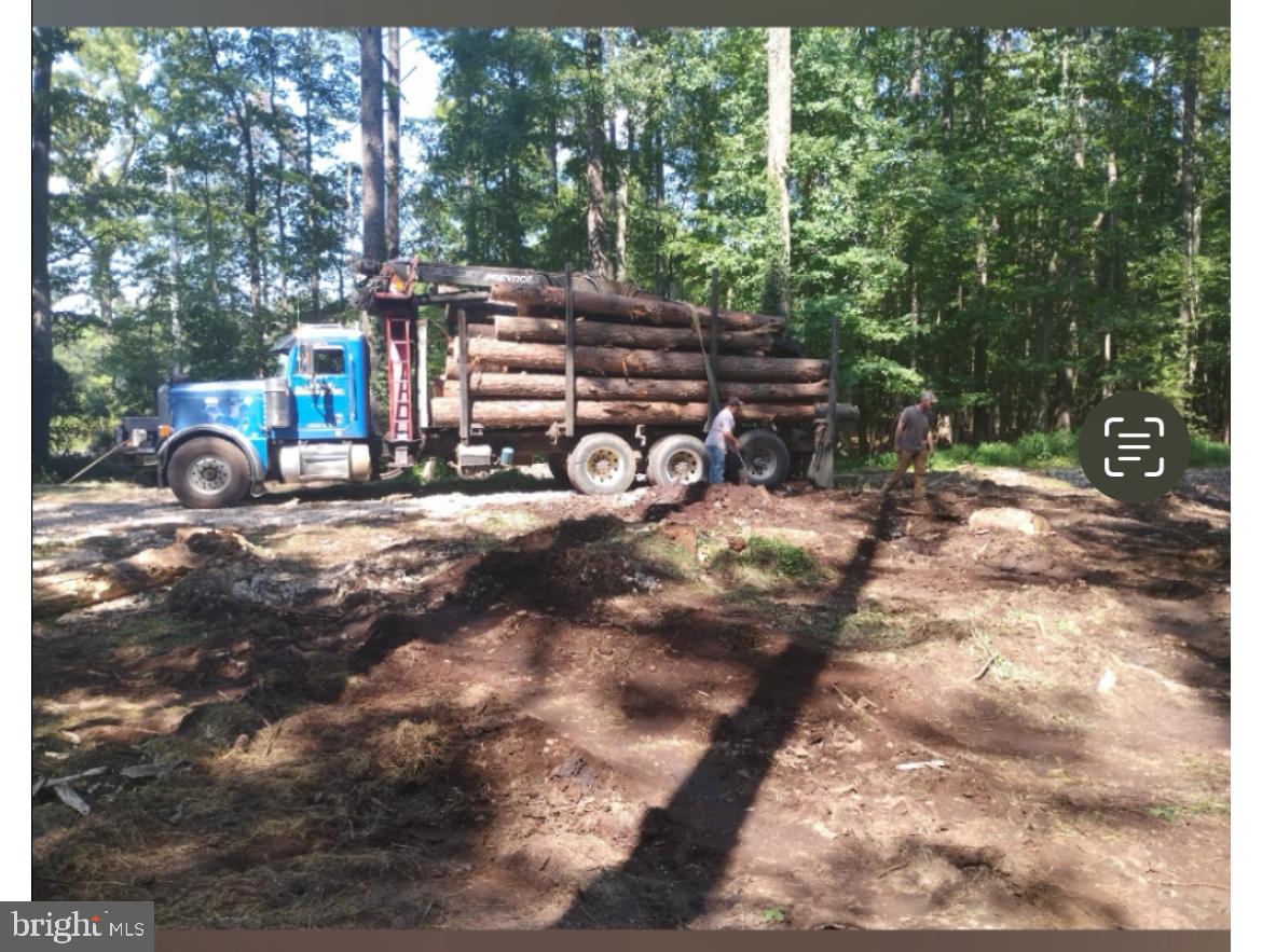 a view of street with trees