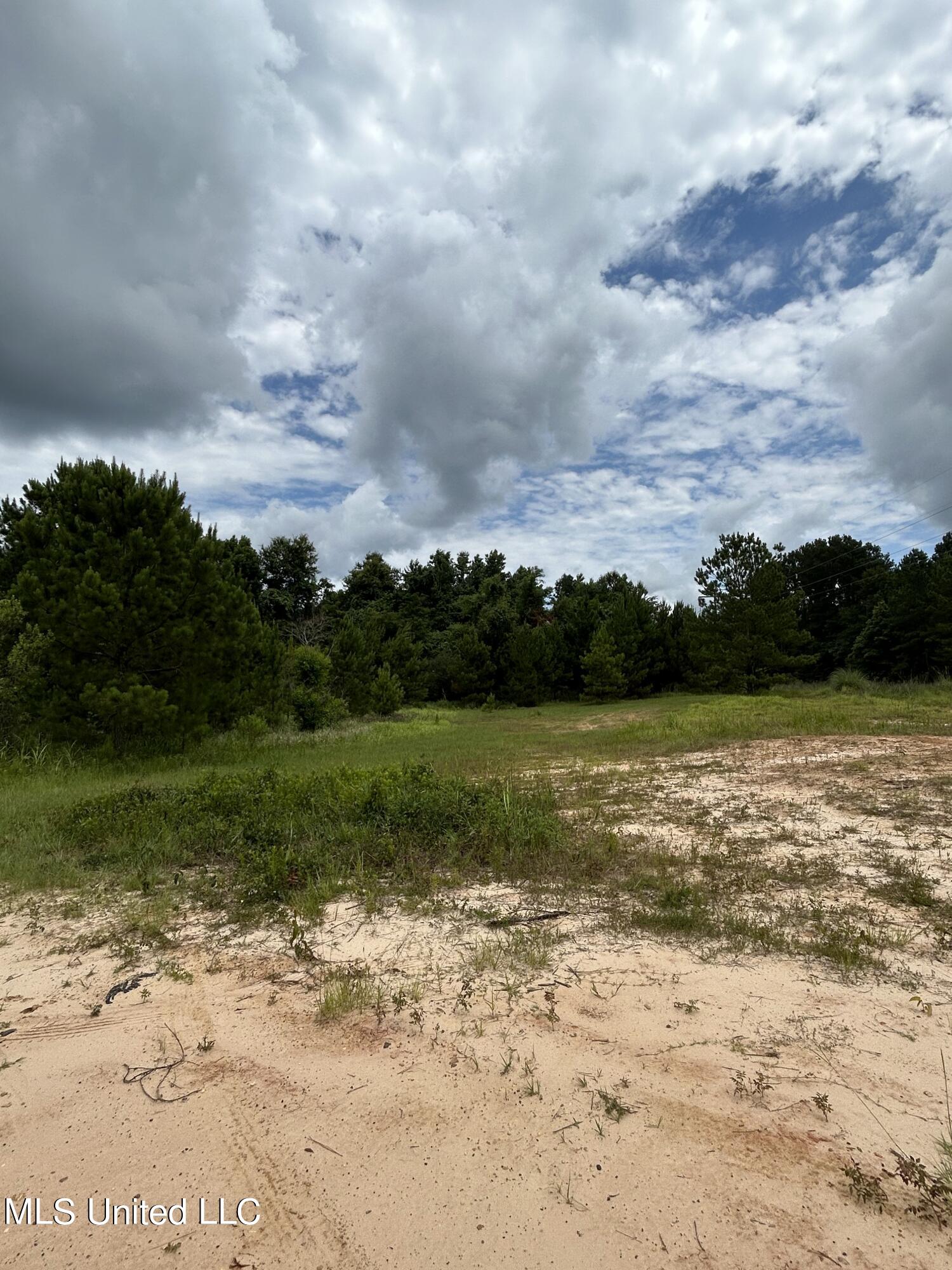 916 White Road Florence, MS 39073 - Photo 2 of 14 White Rd 2