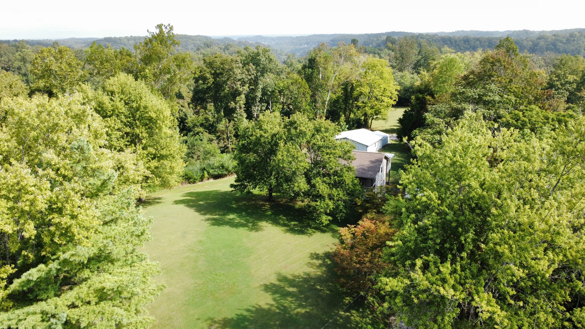 219 John Fuson Road Smithville, TN 37166 - Photo 4 of 84 a view of a forest with a sink